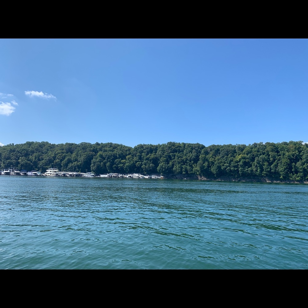 Meet your Posher, Brandi